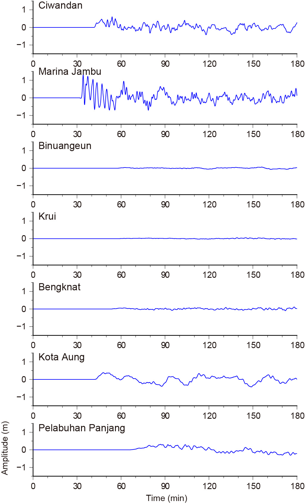 Fig.2 Tsunami Waveforms
